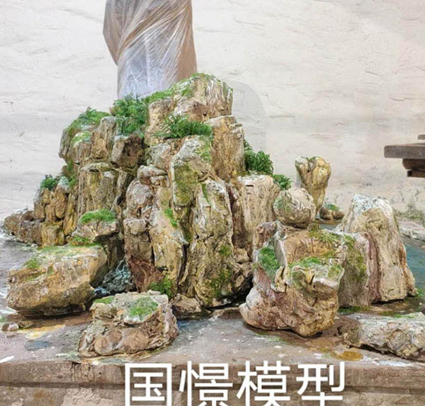 胡杨河市场景模型