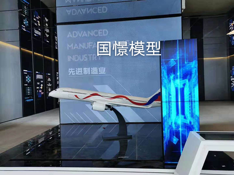 胡杨河市飞机模型