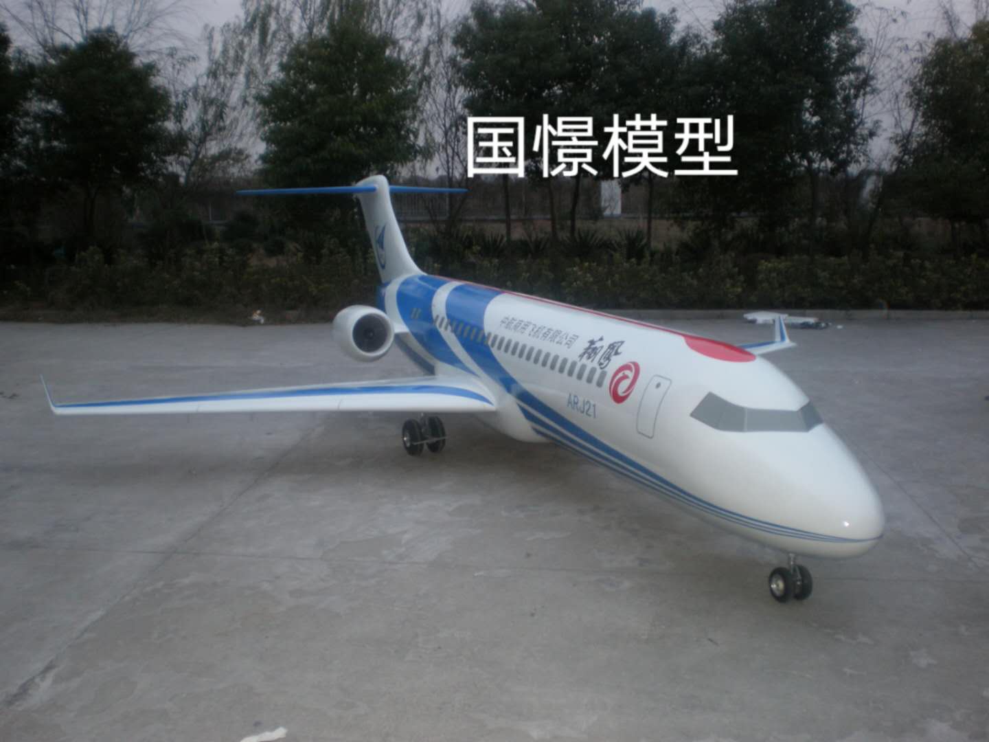胡杨河市飞机模型