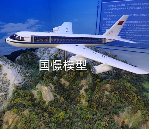胡杨河市飞机模型