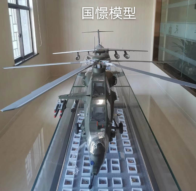胡杨河市飞机模型