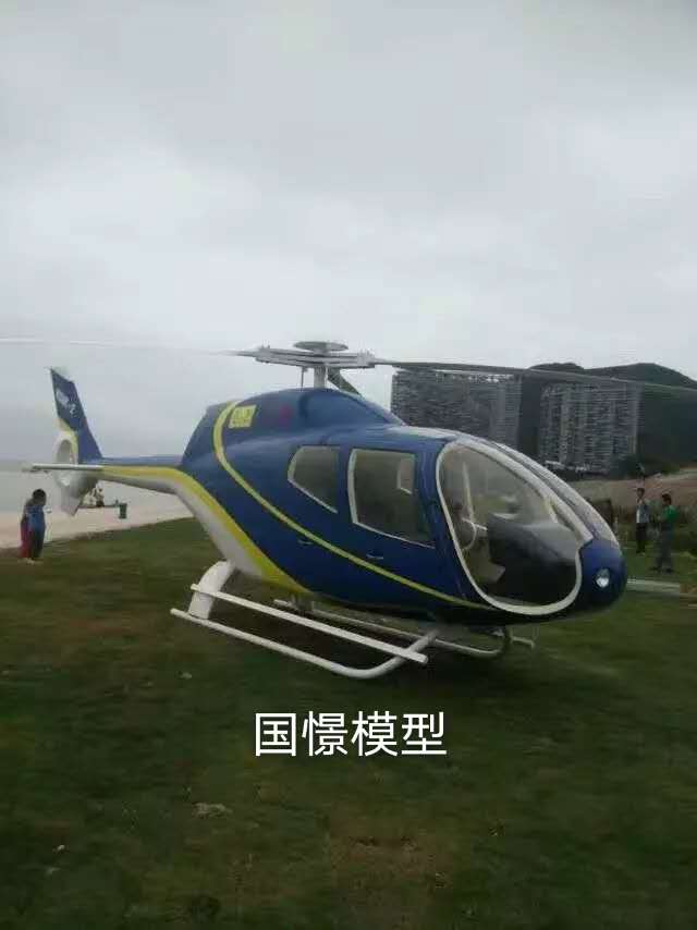 胡杨河市飞机模型