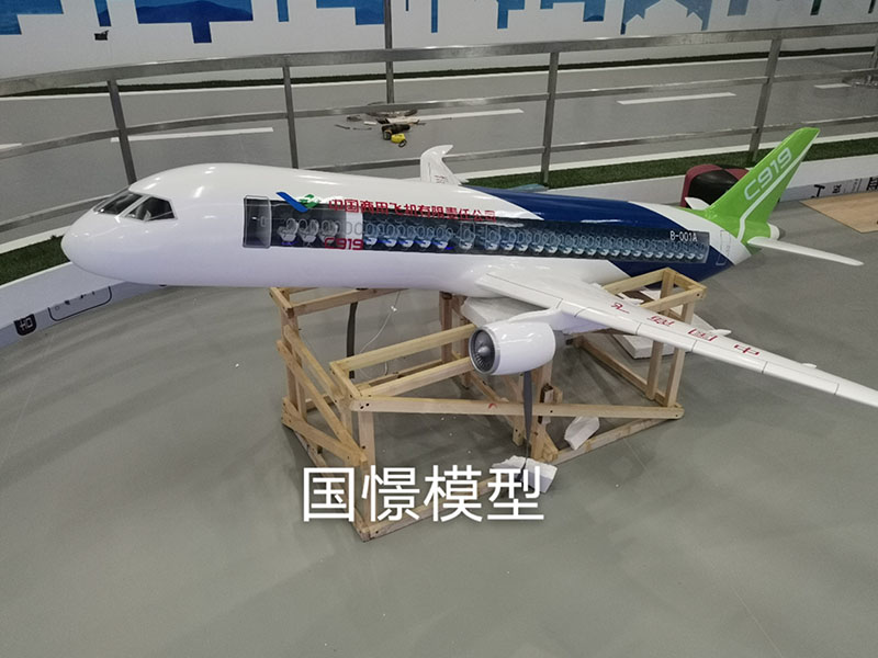 胡杨河市飞机模型
