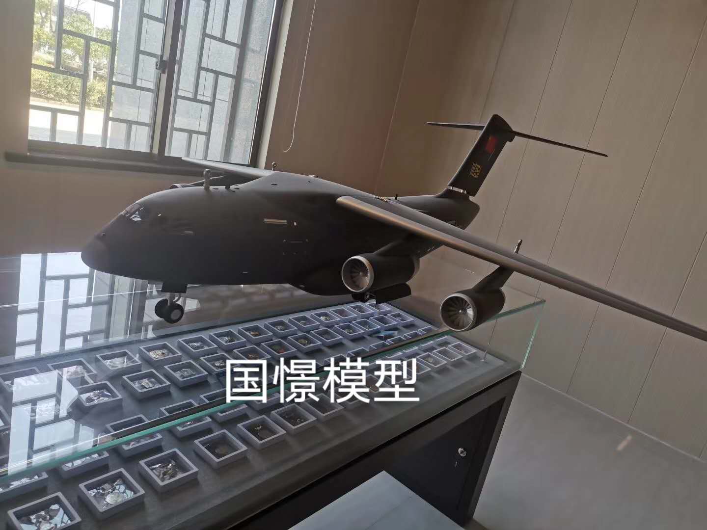 胡杨河市飞机模型