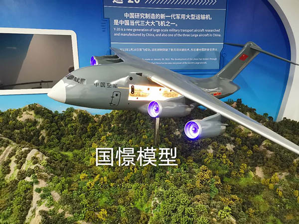 胡杨河市飞机模型