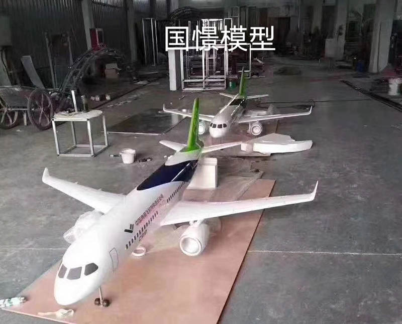 胡杨河市飞机模型
