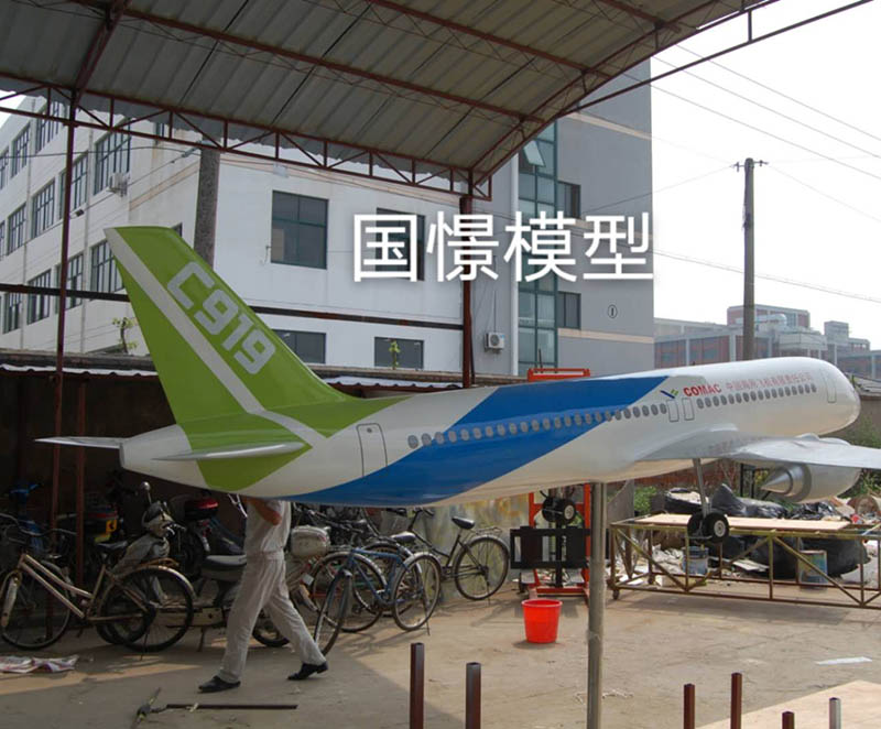 胡杨河市飞机模型