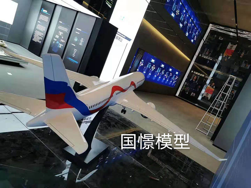 胡杨河市飞机模型