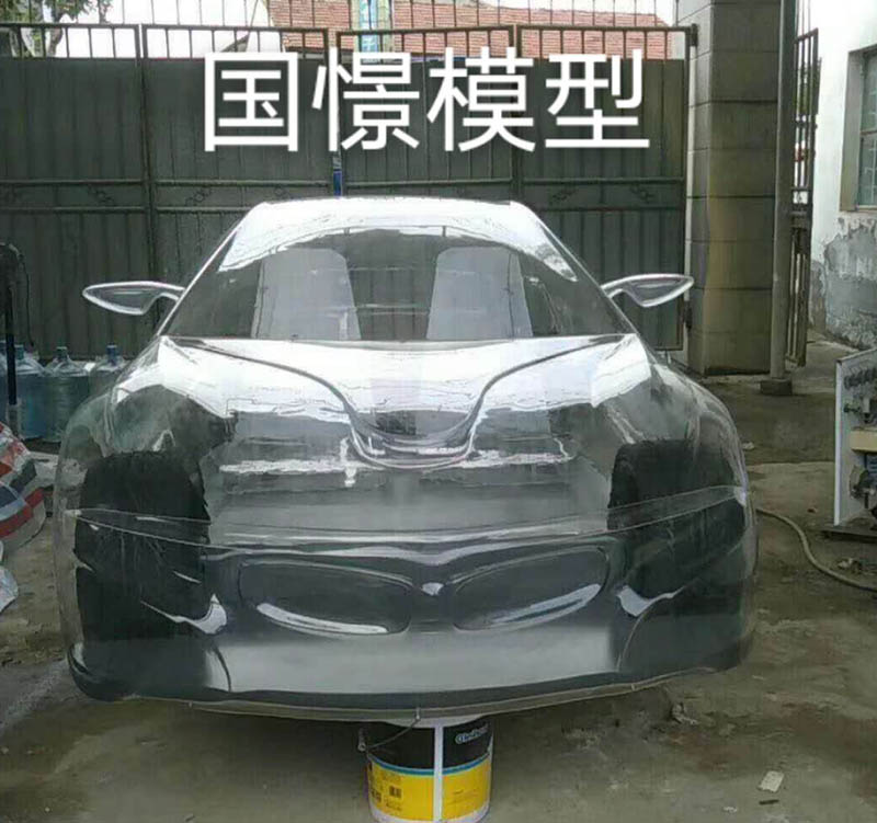 胡杨河市透明车模型
