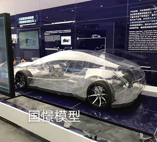 胡杨河市透明车模型
