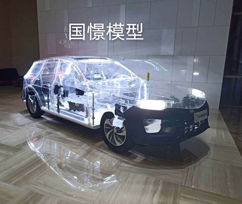 胡杨河市透明车模型