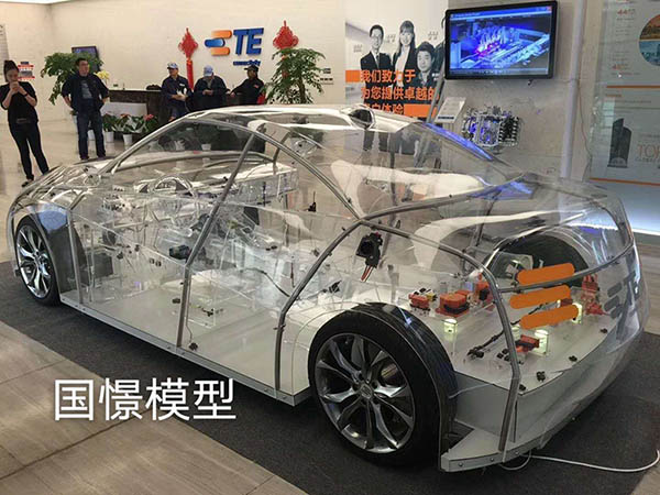 胡杨河市透明车模型